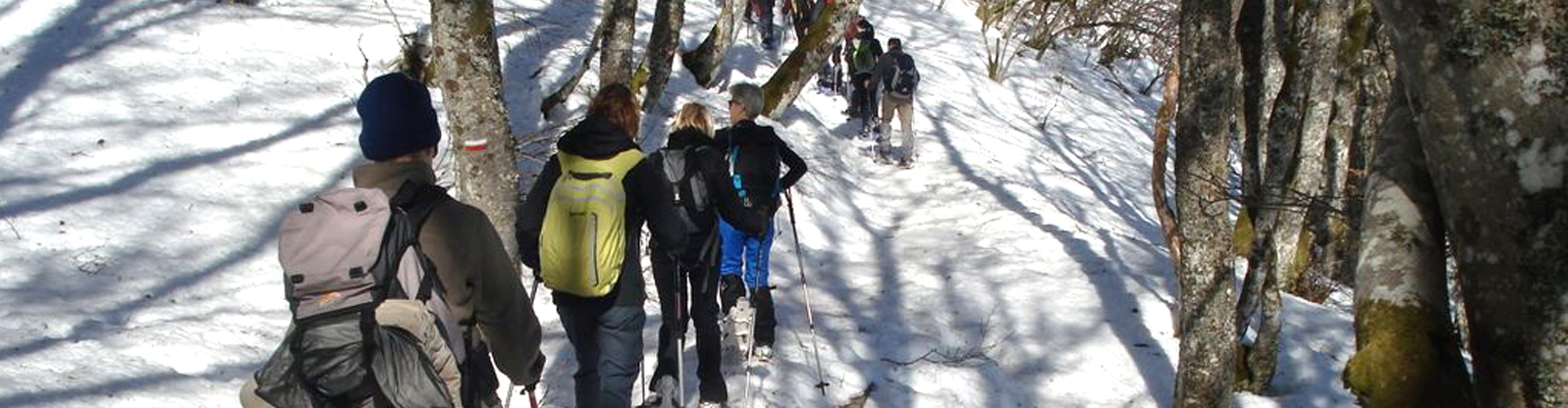 Rando Raquettes massif du Sancy Auvergne