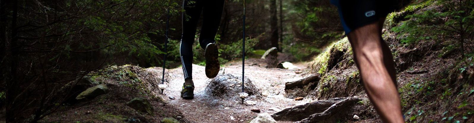 Stages Trail Cantal Sancy Auvergne