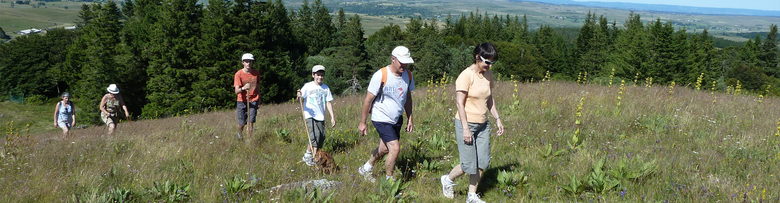 Randonnées accompagnées Cantal Auvergne - Bureau des Guides