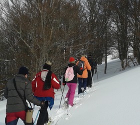 Raquettes à la la Station du Lioran