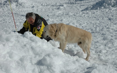 Initiation recherche Avalanche