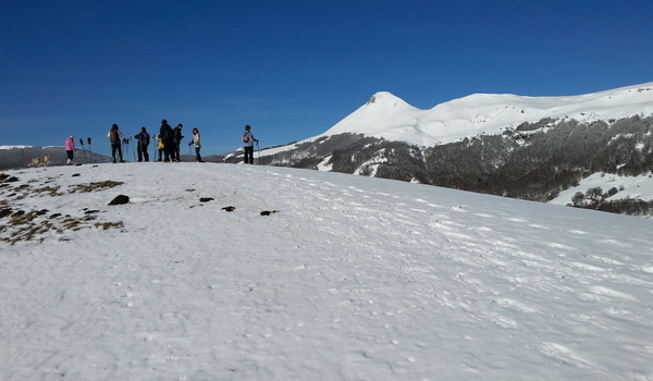 Puy Griou