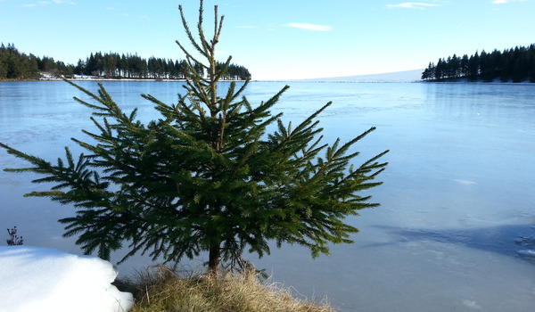 Lac de Servière